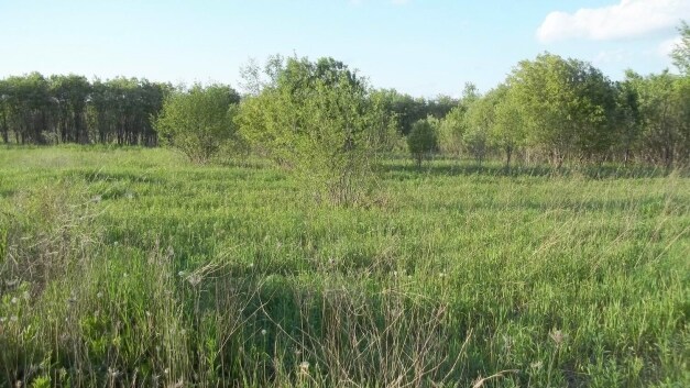 8568 Van Dornick Rd, Pulaski, WI for sale Primary Photo- Image 1 of 1