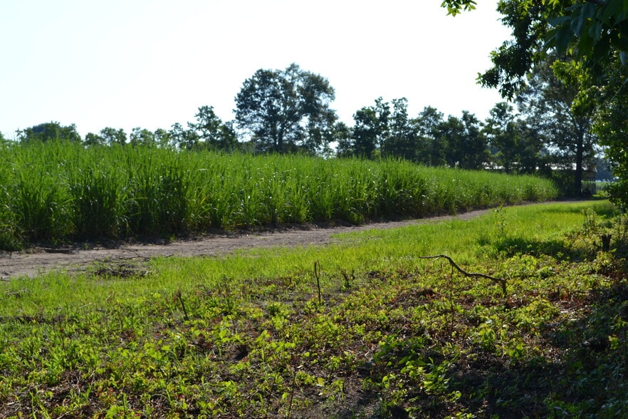 5818 N Freetown Rd, New Iberia, LA for sale - Other - Image 1 of 12