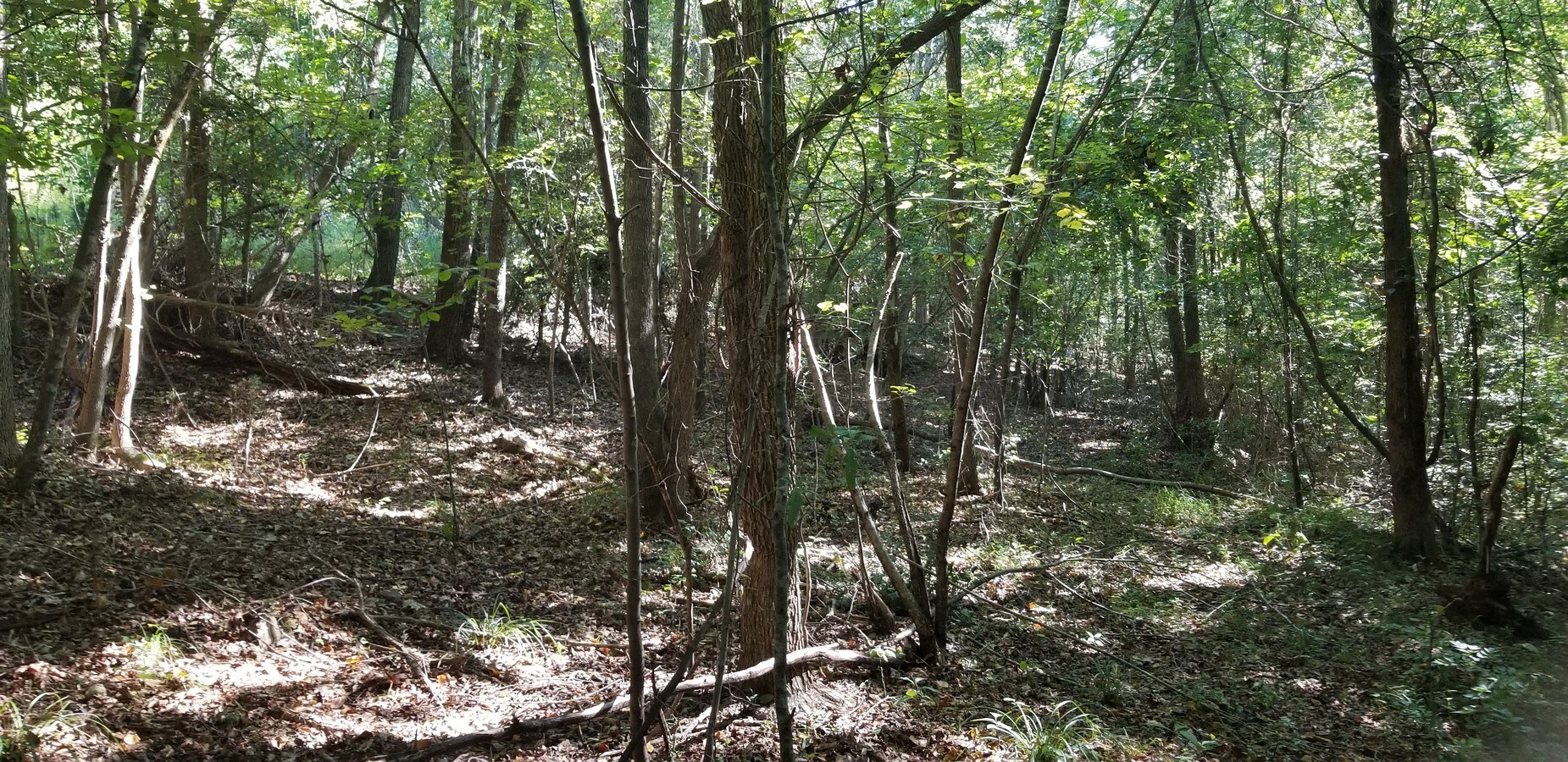 0 Riddle Rd, Pauline, SC 29374