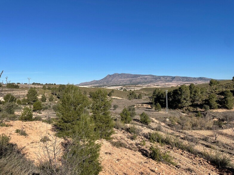 Land in Jumilla for sale - Building Photo - Image 1 of 11