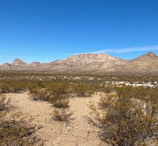 I-10, San Simon, AZ 85632 - Roostercomb Ranch | LoopNet