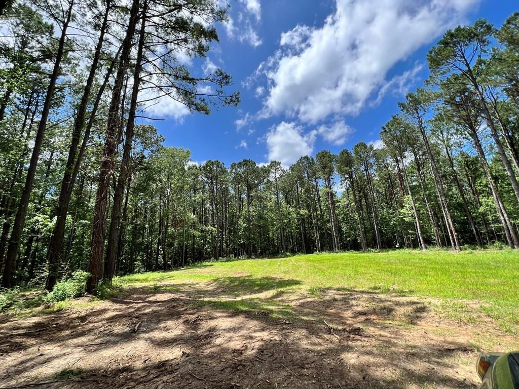 00 LEWIS LANE, Meadville, MS 39653 Land for Sale