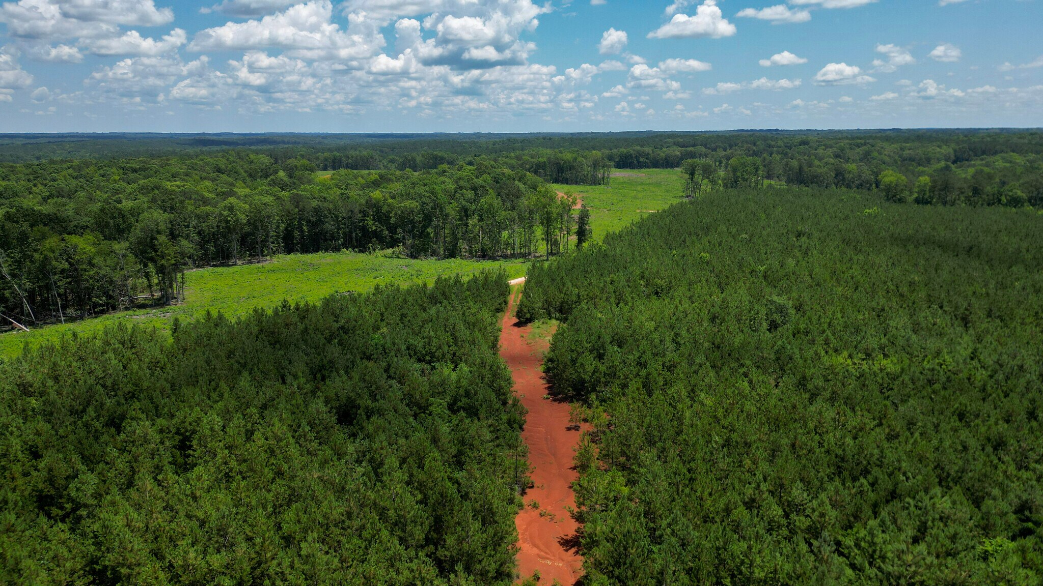 Muckaway Rd, Abbeville, SC for sale Primary Photo- Image 1 of 13