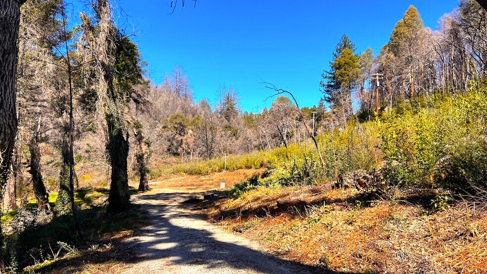 11035 Empire Grade, Bonny Doon, CA 95060 Land for Sale