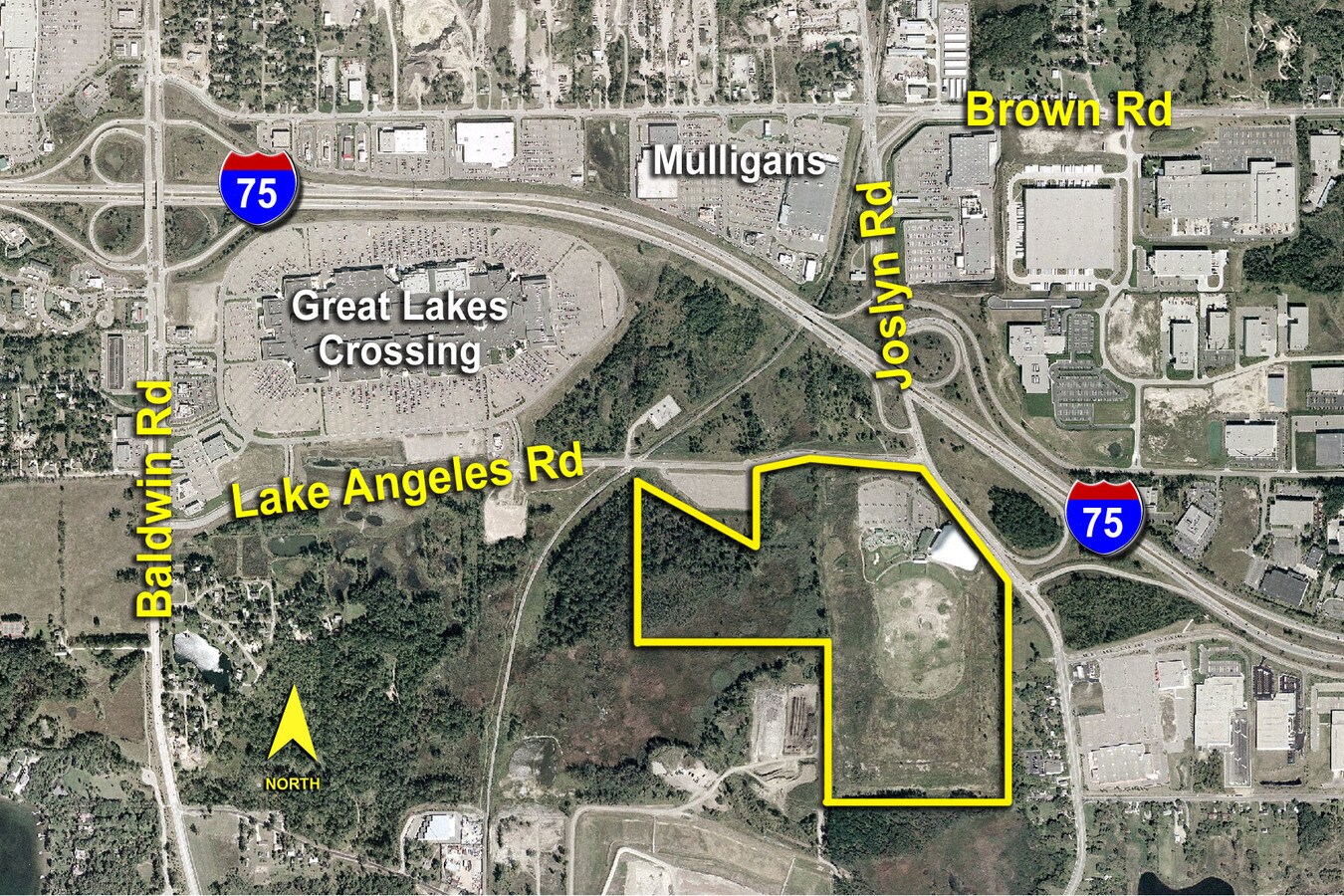 39513961 Joslyn Ave, Auburn Hills, MI 48326