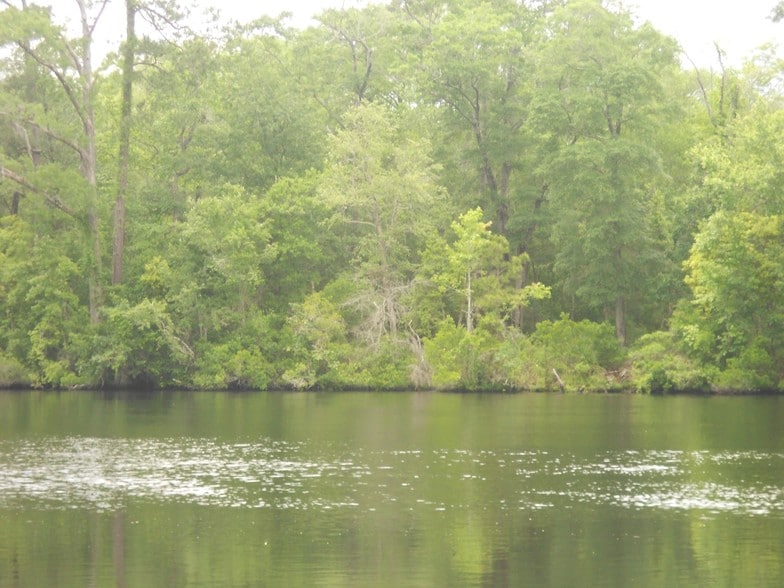 Black River, SC 29440