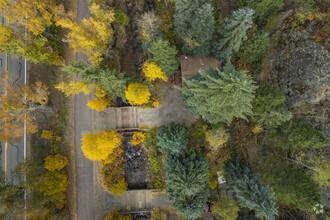 3303 Chicago Creek Rd, Idaho Springs, CO - aerial  map view - Image1