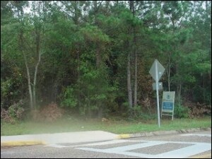 301 Haven Dr, Dothan, AL for sale - Primary Photo - Image 1 of 1