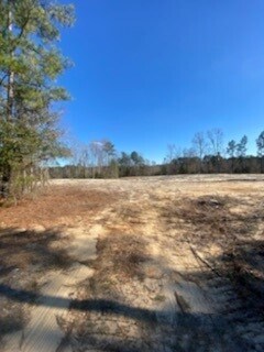 149 County Rd S, Georgetown, SC for sale Primary Photo- Image 1 of 1