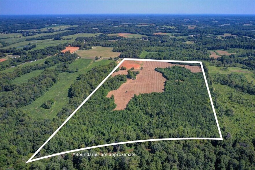 7232 Busick Quarry Rd, Elon, NC for sale - Aerial - Image 1 of 1