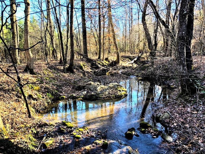 2 Johnston Rd, Kinards, SC for sale - Other - Image 1 of 1