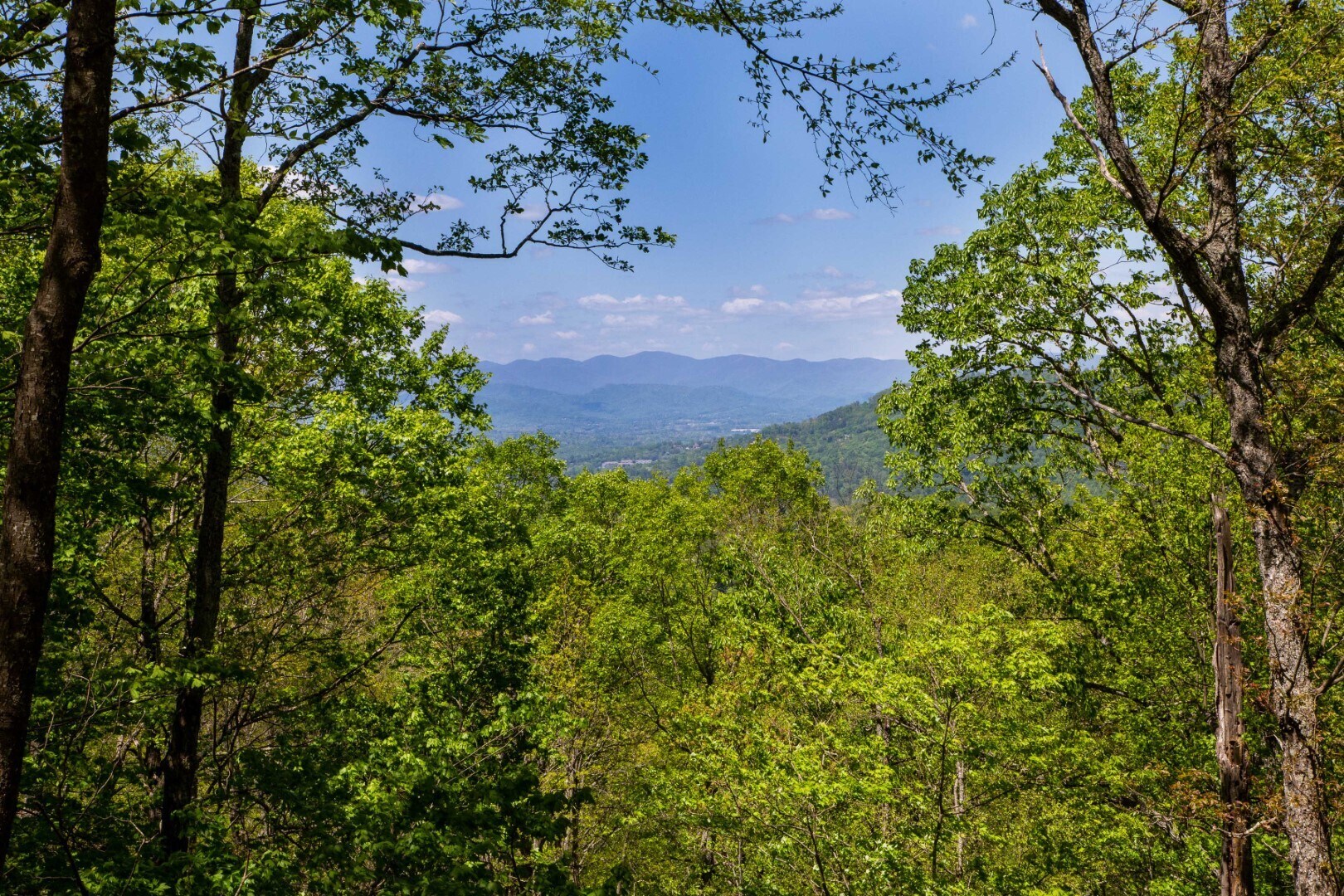 9999 Rice Branch Rd, Asheville, NC for sale Building Photo- Image 1 of 1