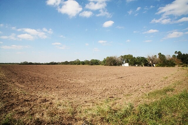 2521 N Closner Blvd, Edinburg, TX for sale Primary Photo- Image 1 of 1