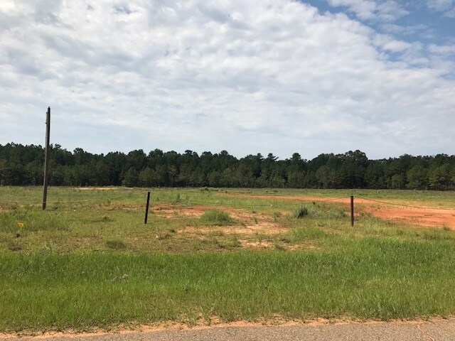 Perry Pky, Perry, GA for sale Building Photo- Image 1 of 1