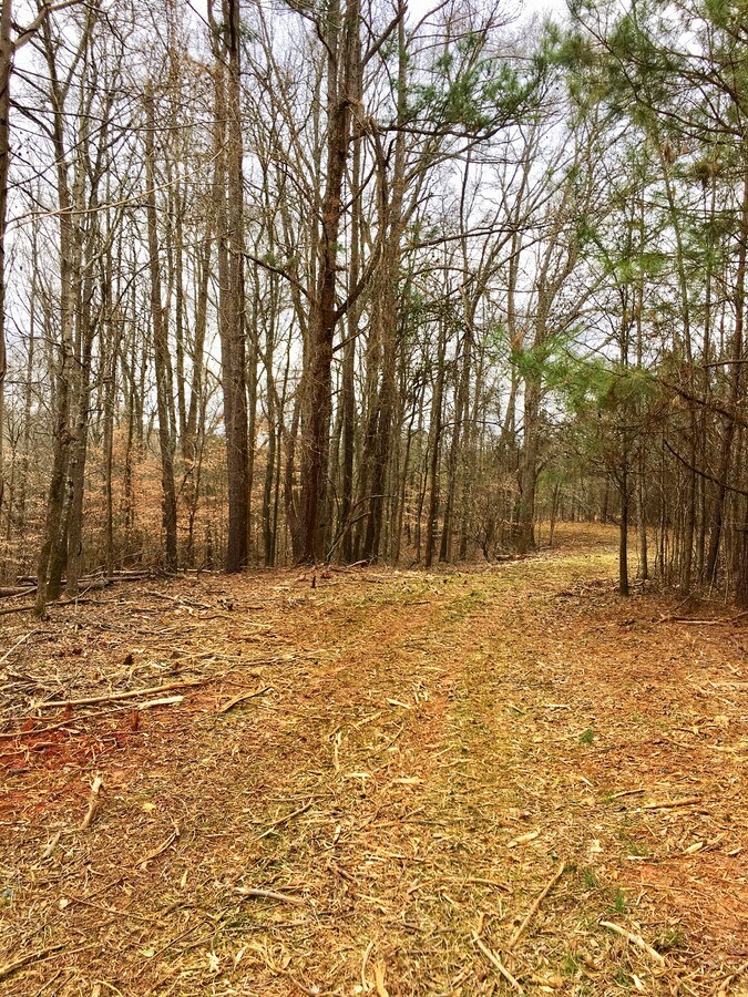 0 Ethridge Rd, Jefferson, GA 30549