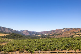 20300 Cachagua Rd, Carmel Valley CA - Vineyard