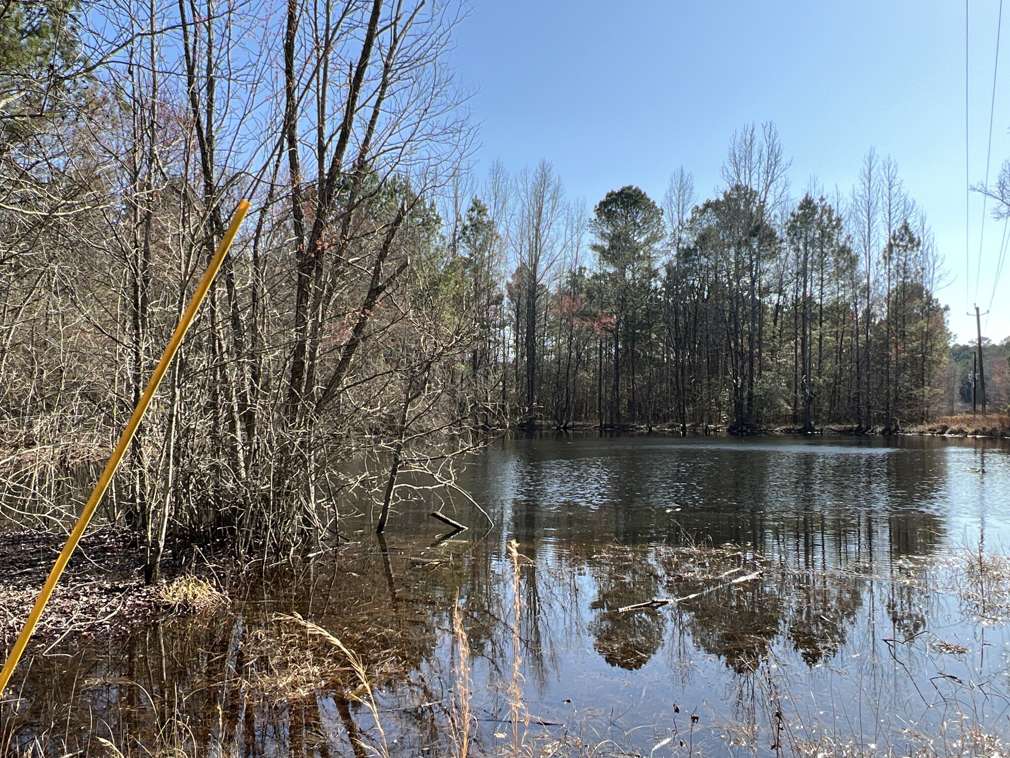 251 Barnsley Church Rd, Kingston, GA for sale Primary Photo- Image 1 of 1