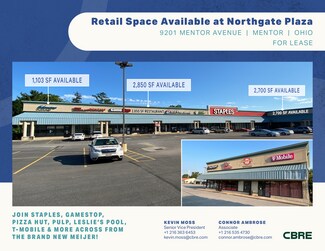 More details for 9201-9216 Mentor Ave, Mentor, OH - Office/Retail, Retail for Lease