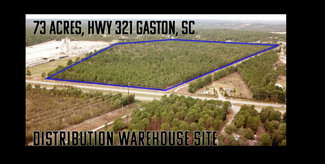 More details for 5046 Hwy 321, Gaston, SC - Land for Sale