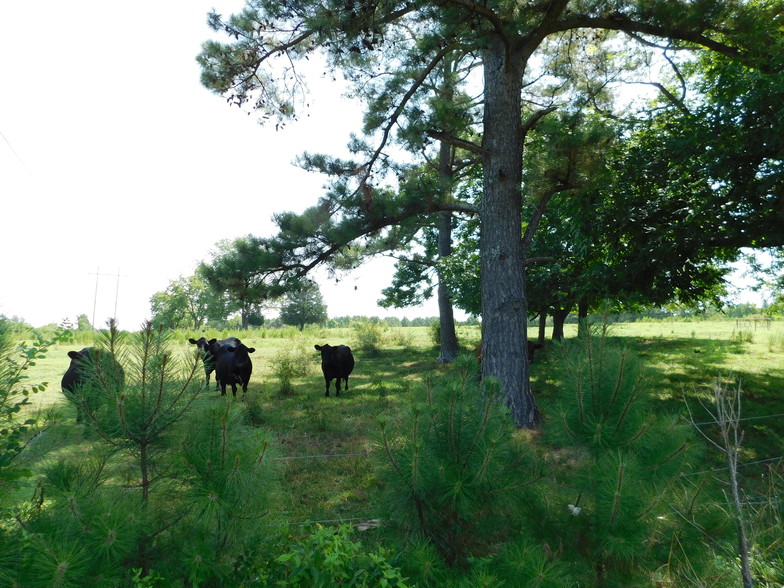 598 Dryfork Rd, Sanford, NC for sale - Primary Photo - Image 1 of 1