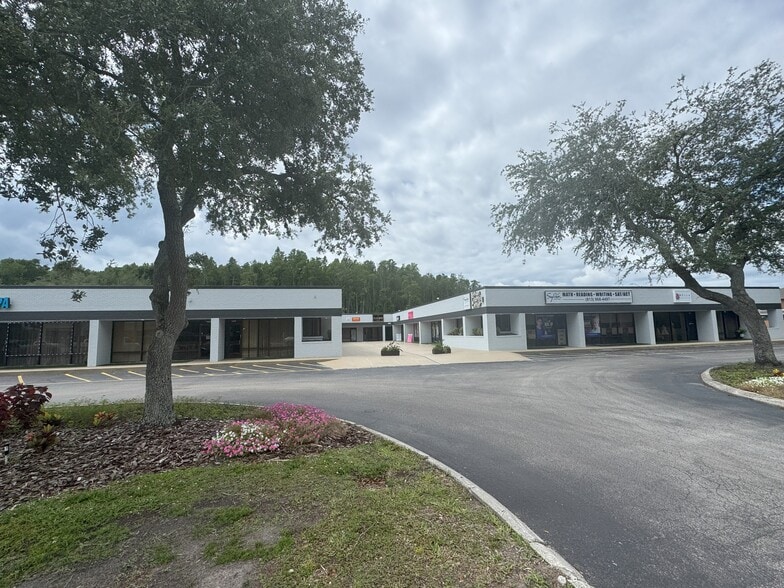3802 Ehrlich Rd, Tampa, FL for lease - Building Photo - Image 2 of 8