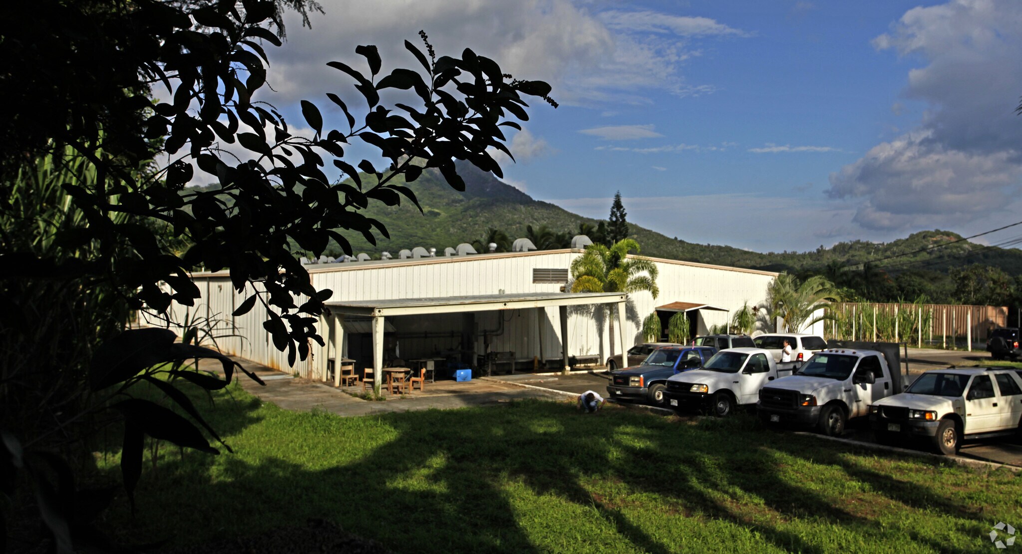 41-745 Mooiki St, Waimanalo, HI for sale Primary Photo- Image 1 of 1