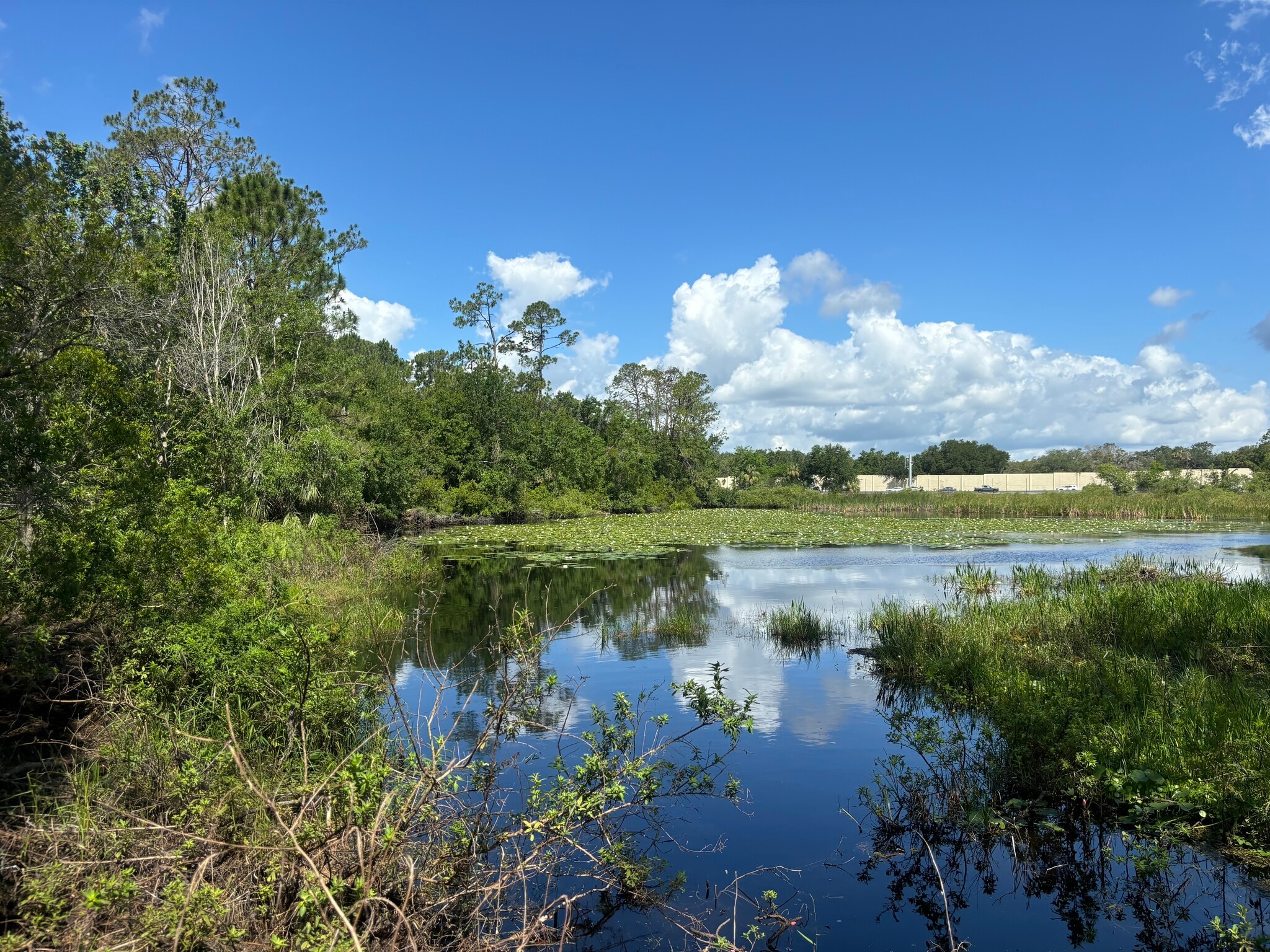 28651 Tupper Rd, Wesley Chapel, FL for sale Building Photo- Image 1 of 7