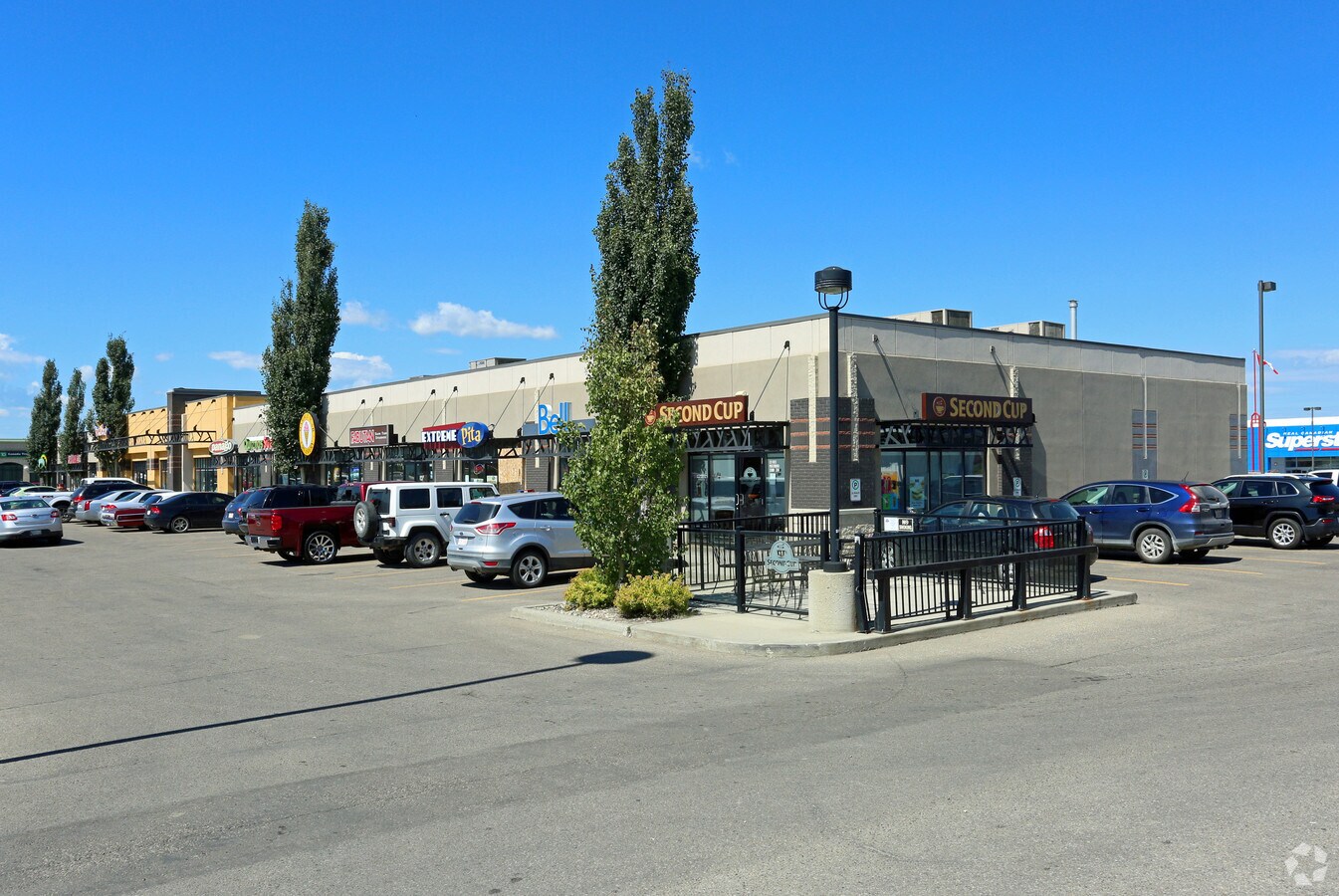 Primary Photo