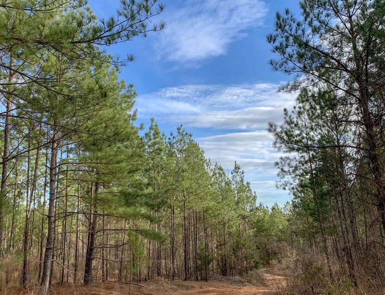 00 Old Ferry Rd, Union, SC 29379