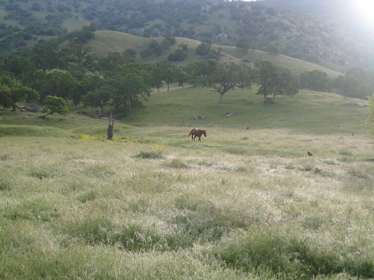 37096 Yokohl Dr, Exeter, CA for sale - Other - Image 2 of 12