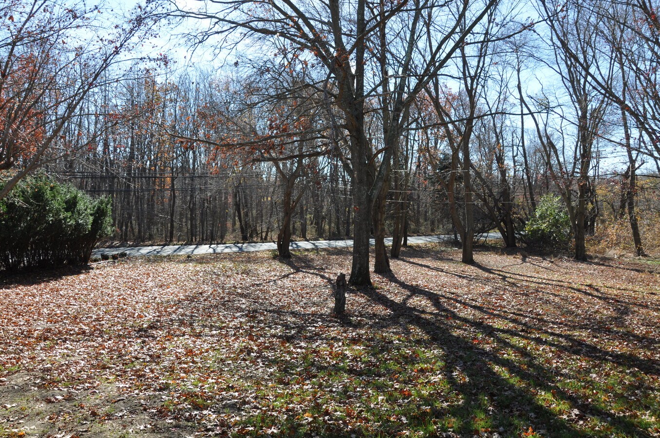 403 Fort Plains Rd, Howell, NJ 07731