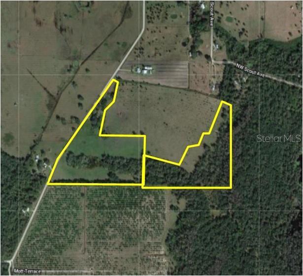 5596 NW Oak Hill Rd, Arcadia, FL for sale Building Photo- Image 1 of 1