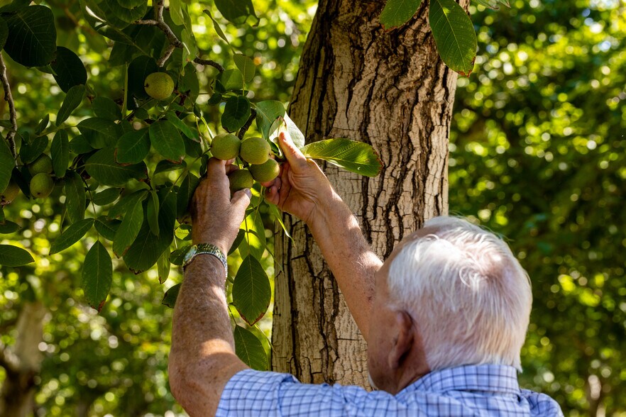 1582 CA-45, Grimes, CA for sale - Building Photo - Image 3 of 34