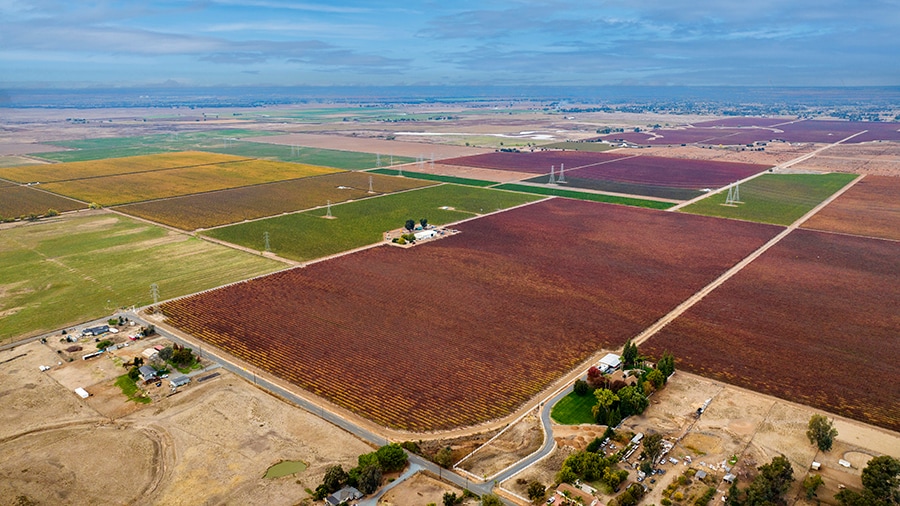 Colony Ranch Vineyard, Wilton, CA for sale - Building Photo - Image 2 of 11