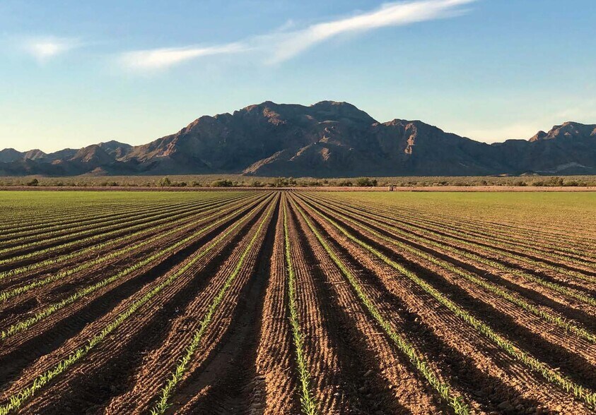 Salome Rd & Carters Rd, Salome, AZ for sale - Primary Photo - Image 1 of 1