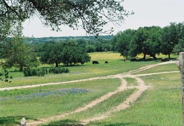 4800 FM 3405, Georgetown, TX for sale Primary Photo- Image 1 of 1
