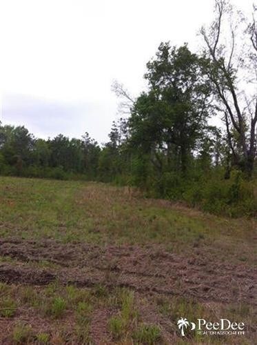 Cubie Rd, Effingham, SC for sale Other- Image 1 of 1