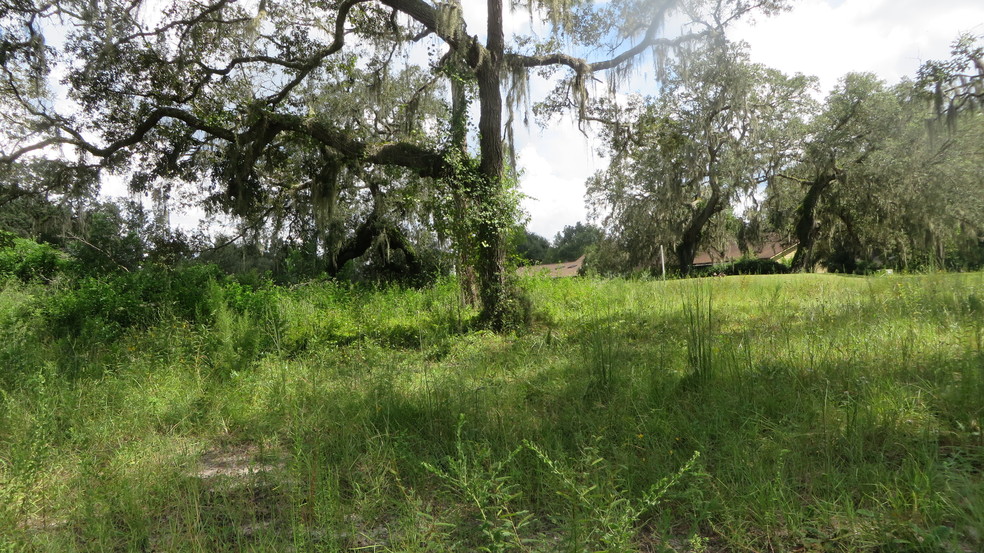 6065 Treiman Blvd, Webster, FL for sale - Other - Image 1 of 1