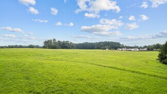 More details for Tanners Bridge Rd, Bethlehem, GA - Land for Sale