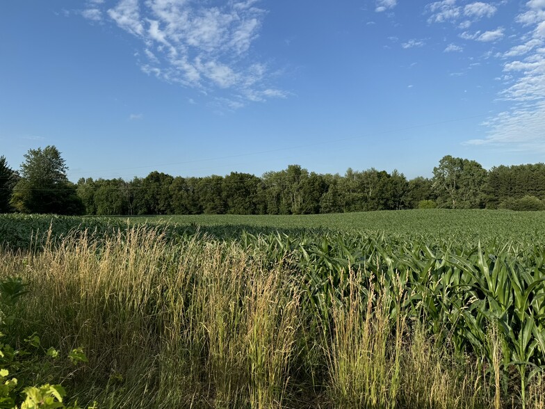 0 V/L Green St., Springport, MI for sale - Building Photo - Image 3 of 19