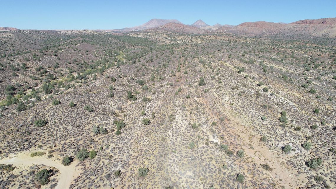 View Photo