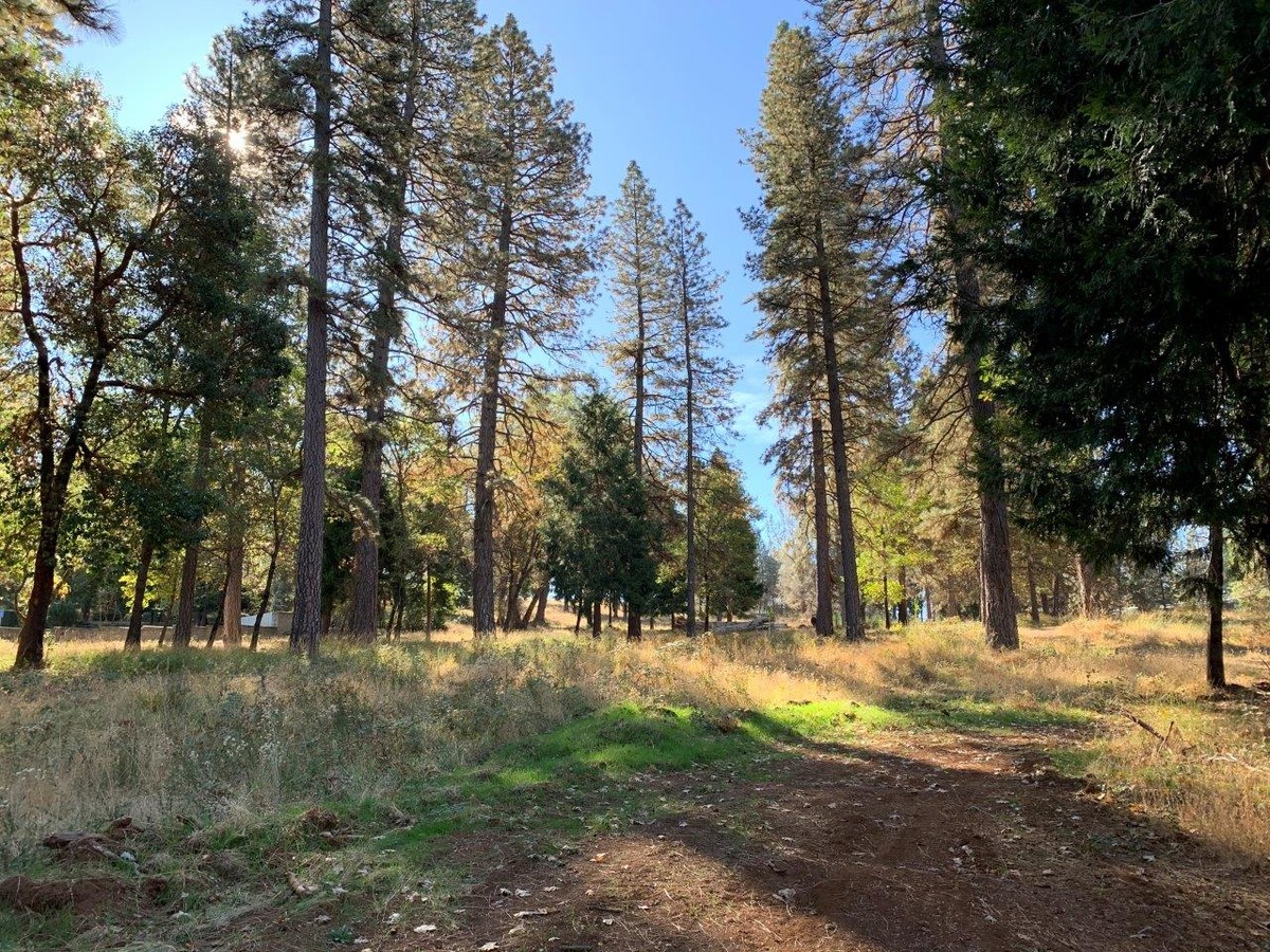 Ridge Rd, Grass Valley, CA 95945 - Litton Business Park Lot 13 | LoopNet