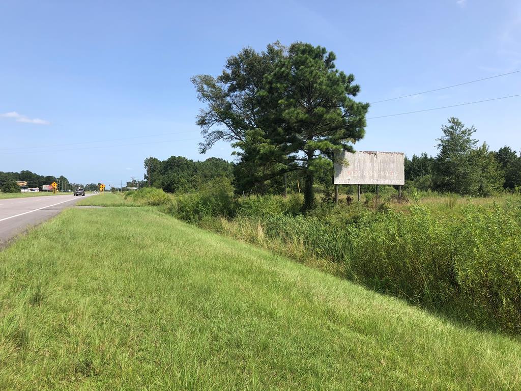 Hwy 301 & Bass Drive, Santee, SC for sale Other- Image 1 of 1