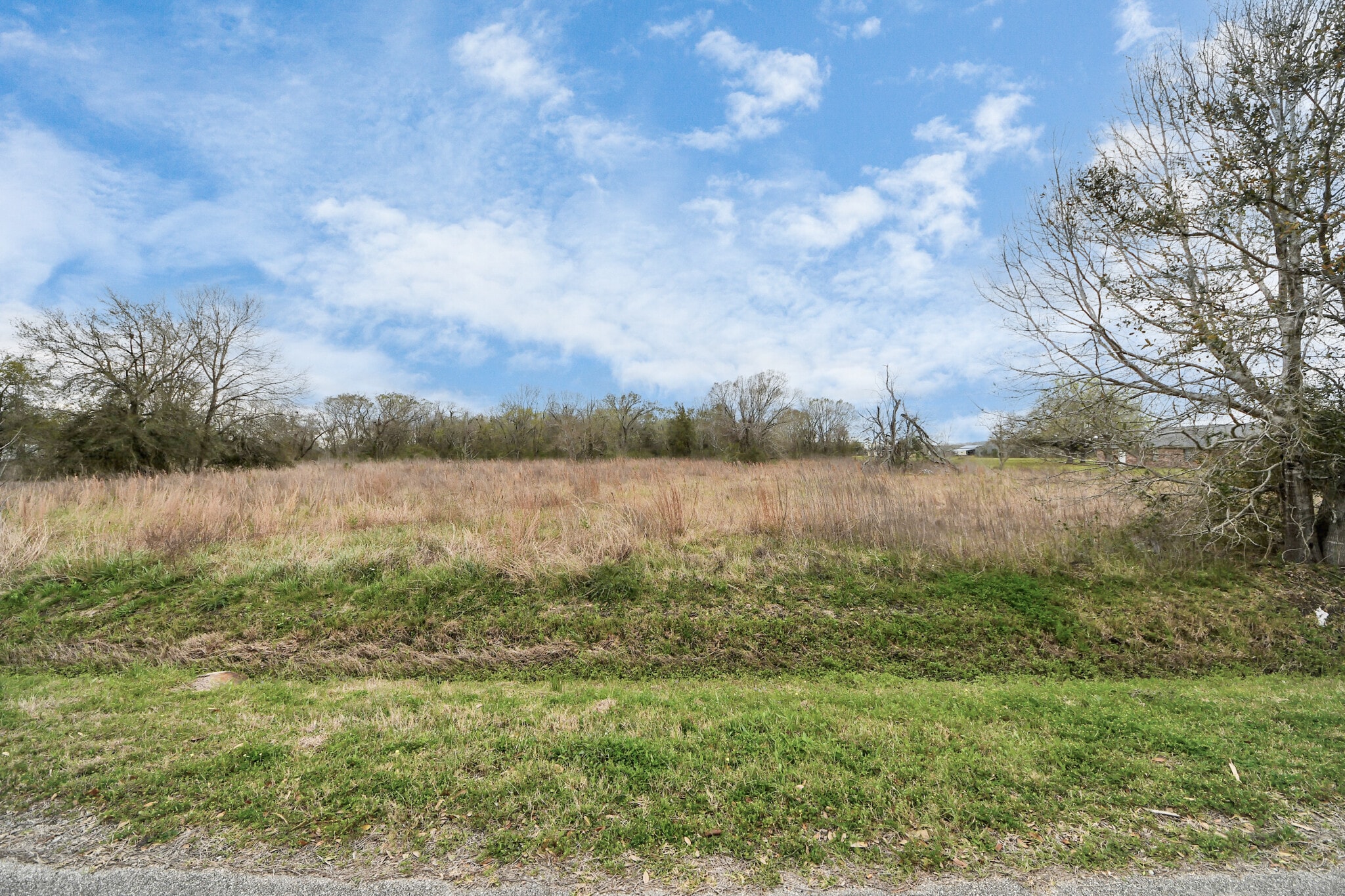 101 Westfield Ln, Friendswood, TX for sale Primary Photo- Image 1 of 27