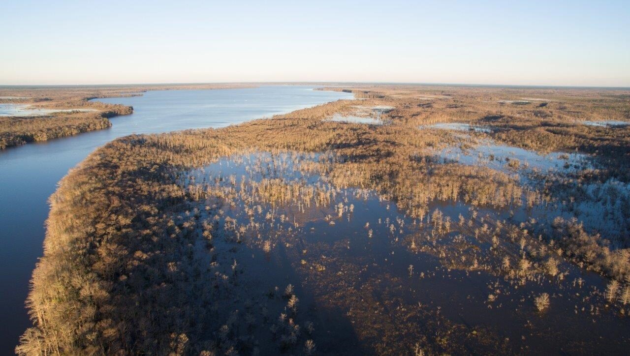 Brown South Loop Neck Rd, Port Saint Joe, FL for sale Primary Photo- Image 1 of 1