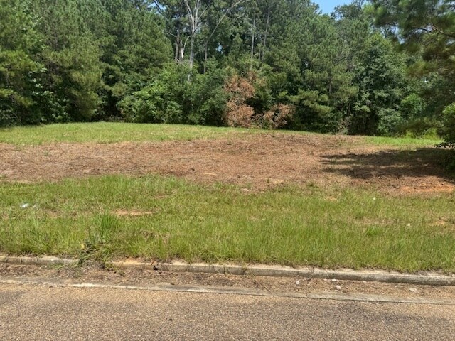 Parklane Rd, Mccomb, MS for sale - Building Photo - Image 1 of 3