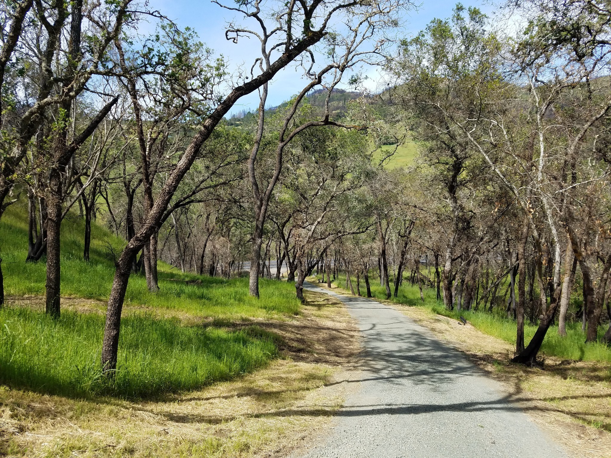 3550 Porter Creek Rd, Santa Rosa, CA for sale Primary Photo- Image 1 of 8