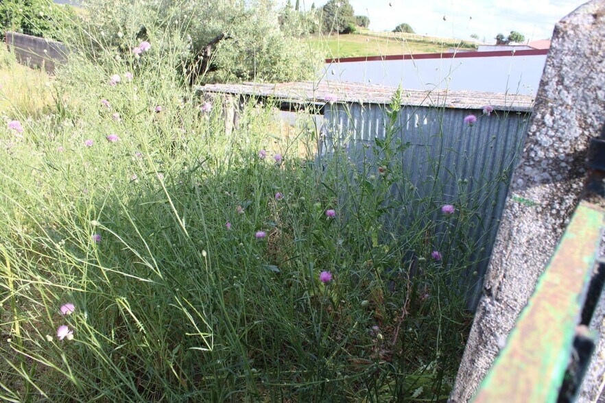 Land in Sierra de Fuentes for sale - Building Photo - Image 1 of 9