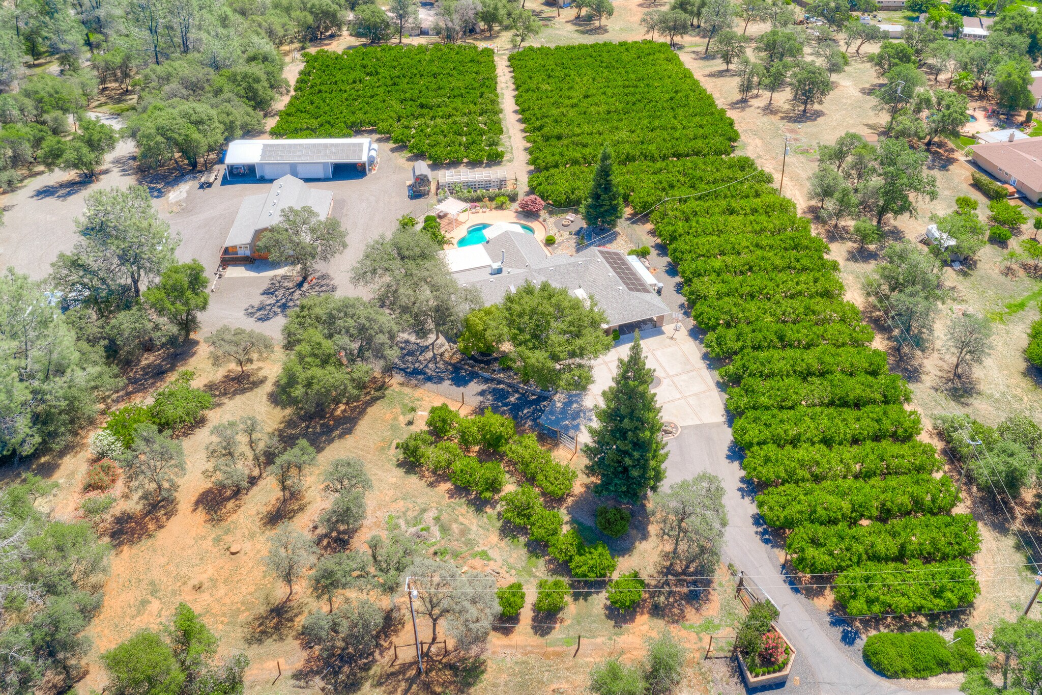 78 Circle View Dr, Oroville, CA 95966 TriL Mandarin Farms in East Oroville, CA