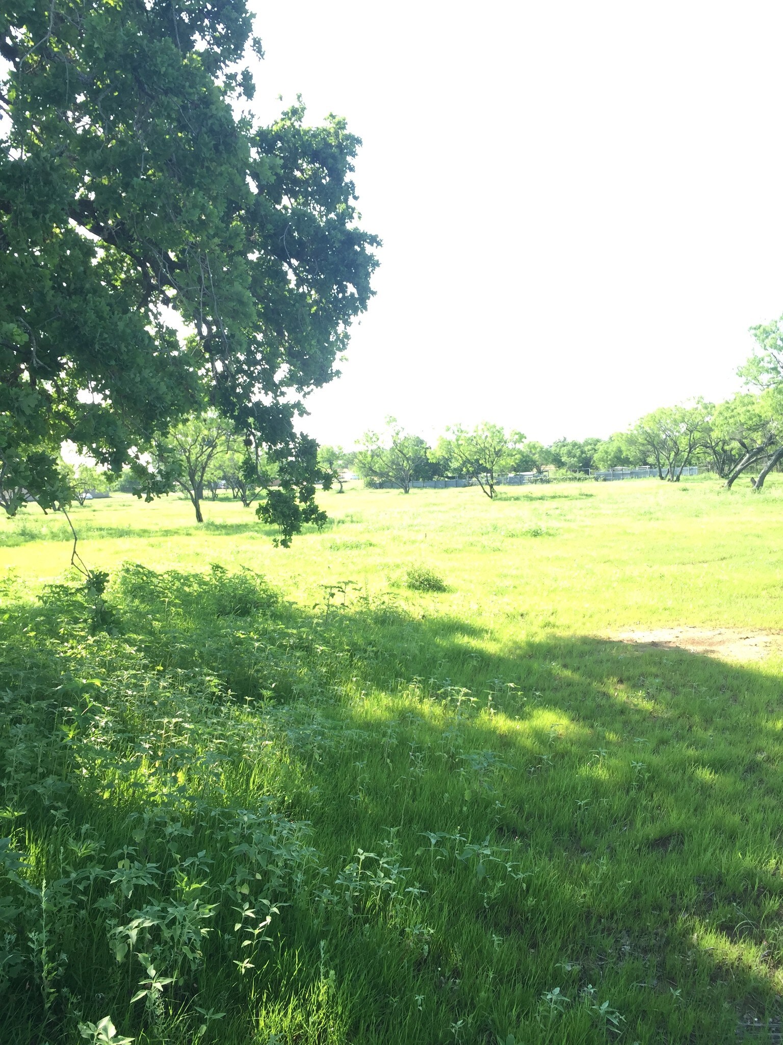 5933 Mount Olive Rd, Adkins, TX for sale Building Photo- Image 1 of 1